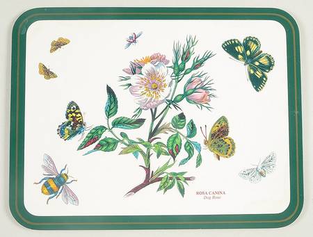 Botanic Garden 10" Rectangular Corkboard Placemat w/Green Border
