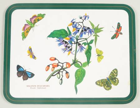 Botanic Garden 10" Rectangular Corkboard Placemat w/Green Border