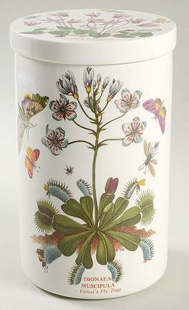 Botanic Garden 8" Storage Jar & Ceramic Lid