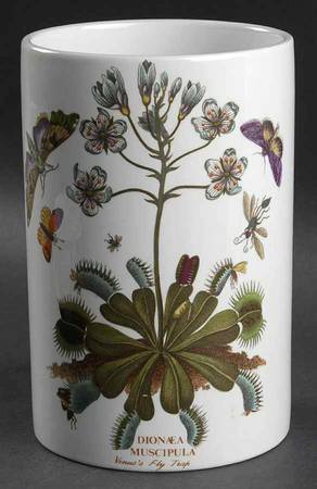 Botanic Garden 8" Storage Jar No Lid