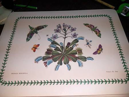 Botanic Garden 13" Rectangular Corkboard Placemat