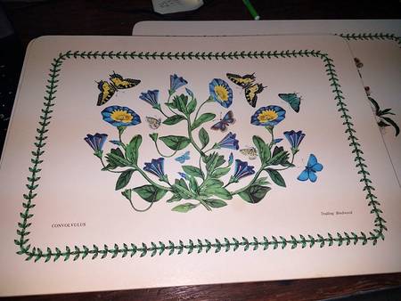 Botanic Garden 13" Rectangular Corkboard Placemat