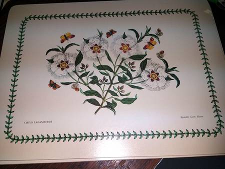 Botanic Garden 13" Rectangular Corkboard Placemat