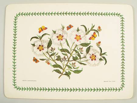 Botanic Garden Corkboard Placemat