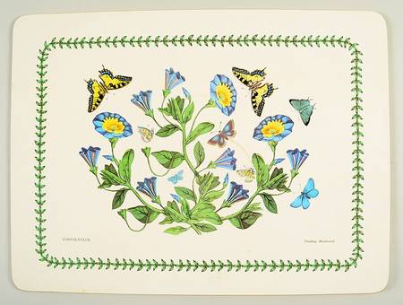 Botanic Garden Corkboard Placemat