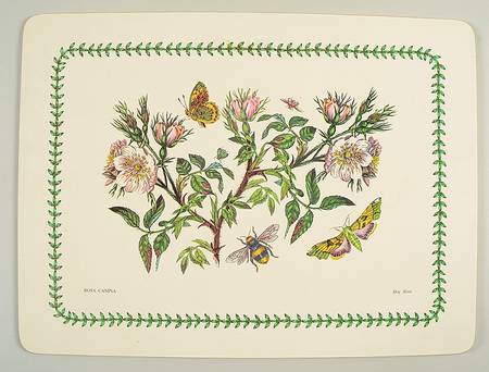 Botanic Garden Corkboard Placemat