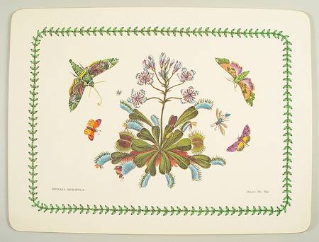 Botanic Garden Corkboard Placemat
