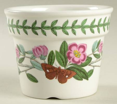 Botanic Garden 3" Flower Pot with Drain Hole