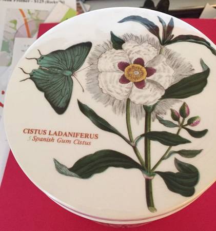 Botanic Garden Ceramic Lid for 4" Storage Jar