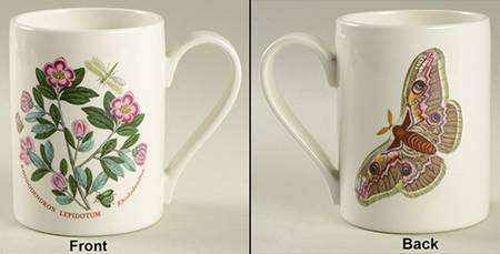 Botanic Garden 1972 Flower & Butterfly Mug