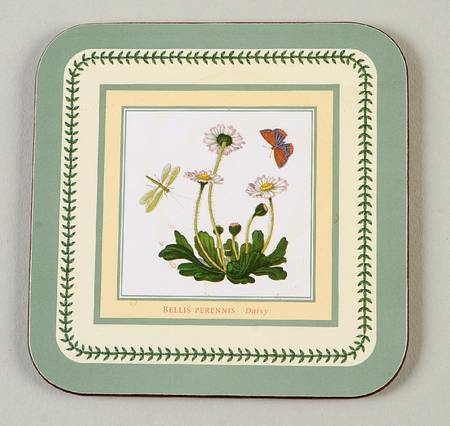 Botanic Garden Square Corkback Coaster