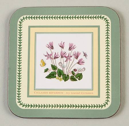 Botanic Garden Square Corkback Coaster