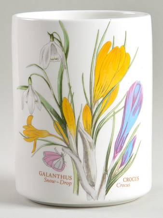 Botanic Garden 5" Storage Jar No Lid