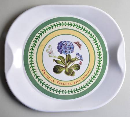 Botanic Garden 13" Square Melamine Tray