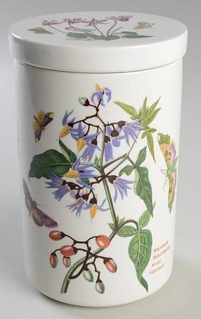 Botanic Garden 7" Storage Jar & Ceramic Lid