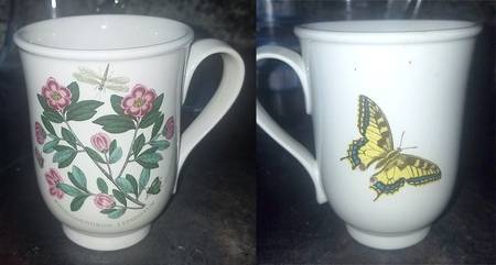 Botanic Garden Beaker (English Mug)