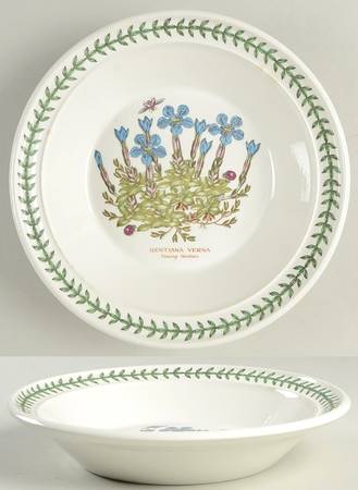 Botanic Garden Rim Soup Bowl