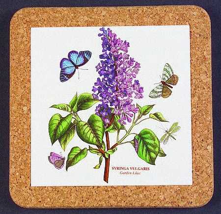Botanic Garden 7" Square Cork Back Trivet