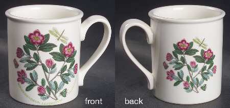 Botanic Garden Breakfast Mug
