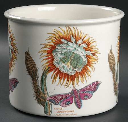 Botanic Garden 6" Planter Pot