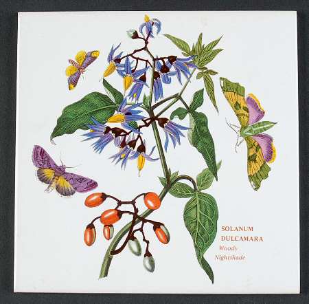 Botanic Garden 6" Wall Tile Aka Tile Insert