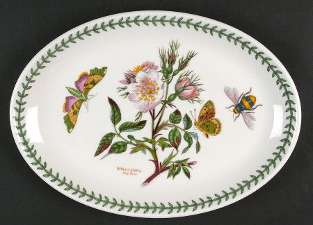 Botanic Garden 10" Oval Steak Platter by Portmeirion