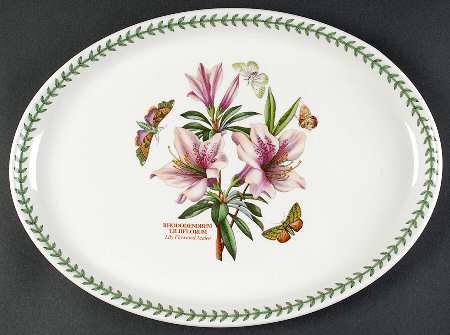 Botanic Garden 14" Oval Steak Platter by Portmeirion