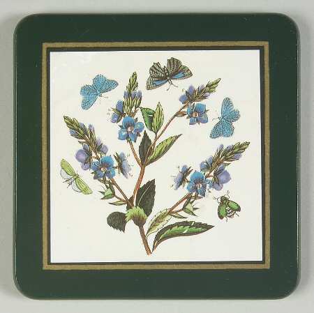 Botanic Garden Green Border Square Wood Coaster w/Felt Back