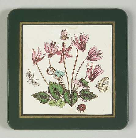 Botanic Garden Green Border Square Wood Coaster w/Felt Back