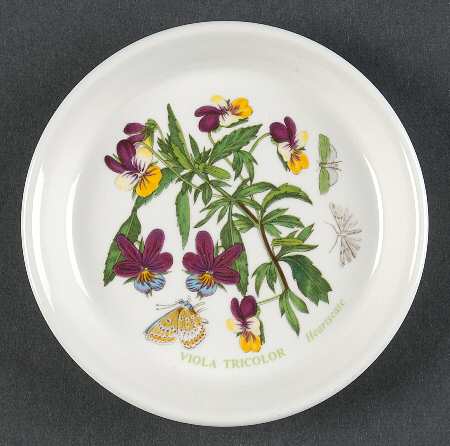 Botanic Garden Coaster