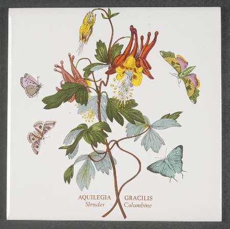 Botanic Garden 6" Wall Tile Aka Tile Insert