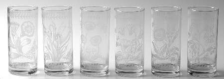 Botanic Garden 10 Oz Etch Highball Glassware (Set of 6)