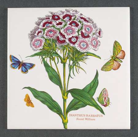 Botanic Garden 6" Wall Tile Aka Tile Insert