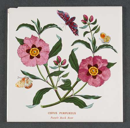 Botanic Garden 6" Wall Tile Aka Tile Insert
