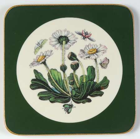 Botanic Garden Square Coaster W/Corkback & Green Border