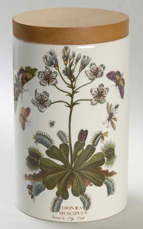 Botanic Garden 8" Storage Jar & Lid
