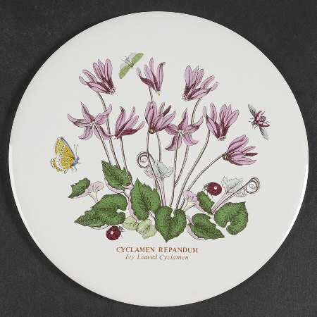 Botanic Garden 6" Round Trivet