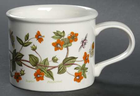 Botanic Garden Drum Breakfast Cup & Saucer