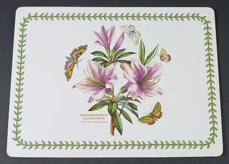 Botanic Garden Corkboard Placemat