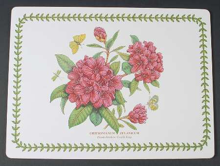 Botanic Garden Corkboard Placemat