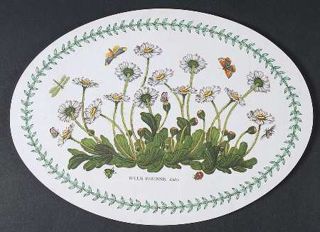 Botanic Garden Oval Melamine Casserole Stand