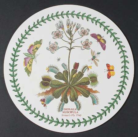 Botanic Garden Round Placemat with Cork Back