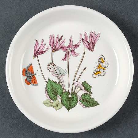 Botanic Garden Coaster