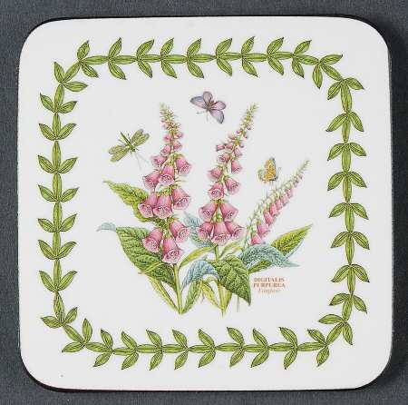 Botanic Garden Square Corkback Coaster