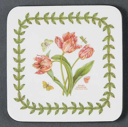 Botanic Garden Square Corkback Coaster