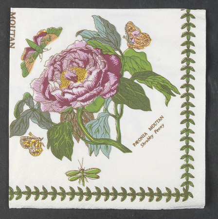 Botanic Garden Open Set of Paper Dinner Napkins