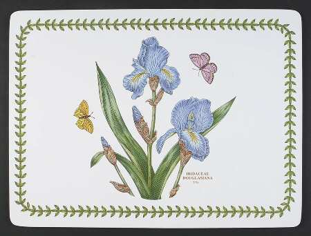 Botanic Garden Corkboard Placemat