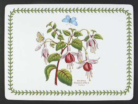 Botanic Garden Corkboard Placemat