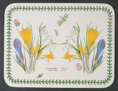 Botanic Garden 10"  Rectangular Corkboard Placemat