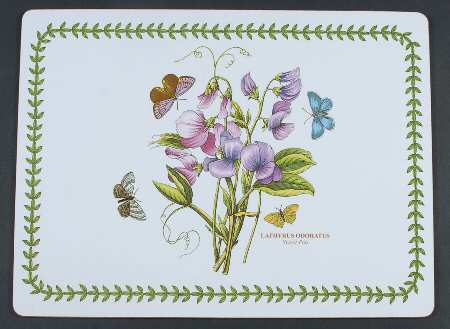 Botanic Garden Corkboard Placemat